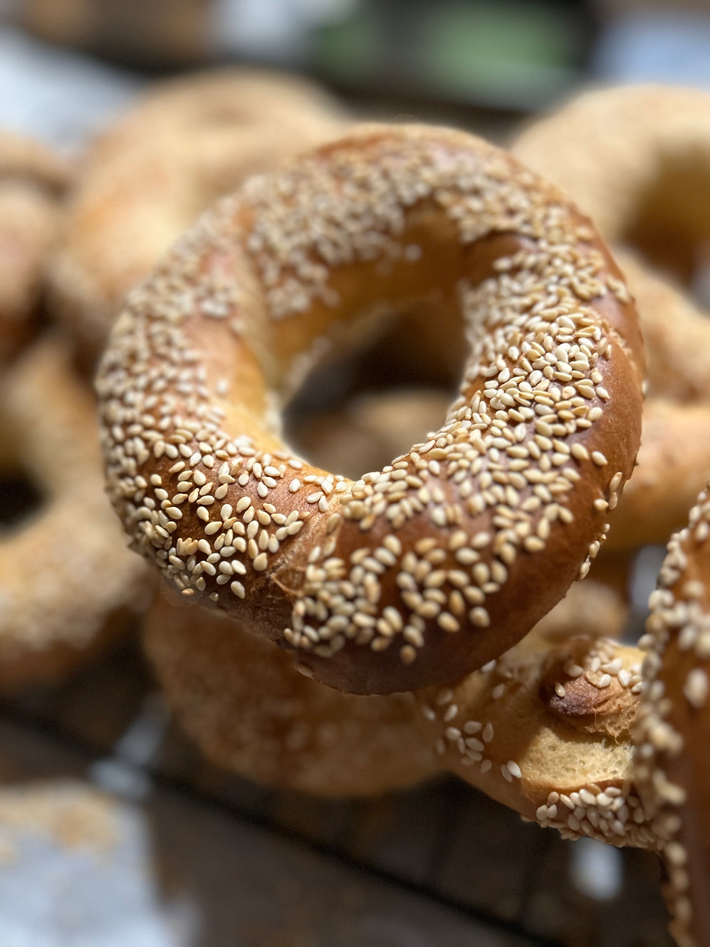 Sesame Seed Bagel