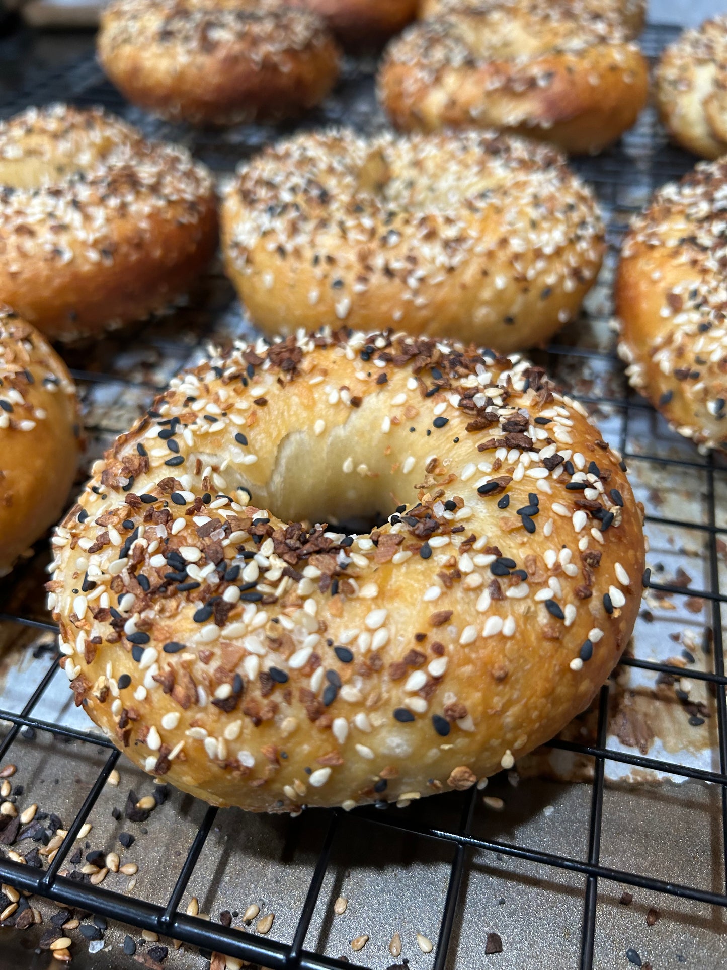 Sourdough Bagels 1/2 Dozen