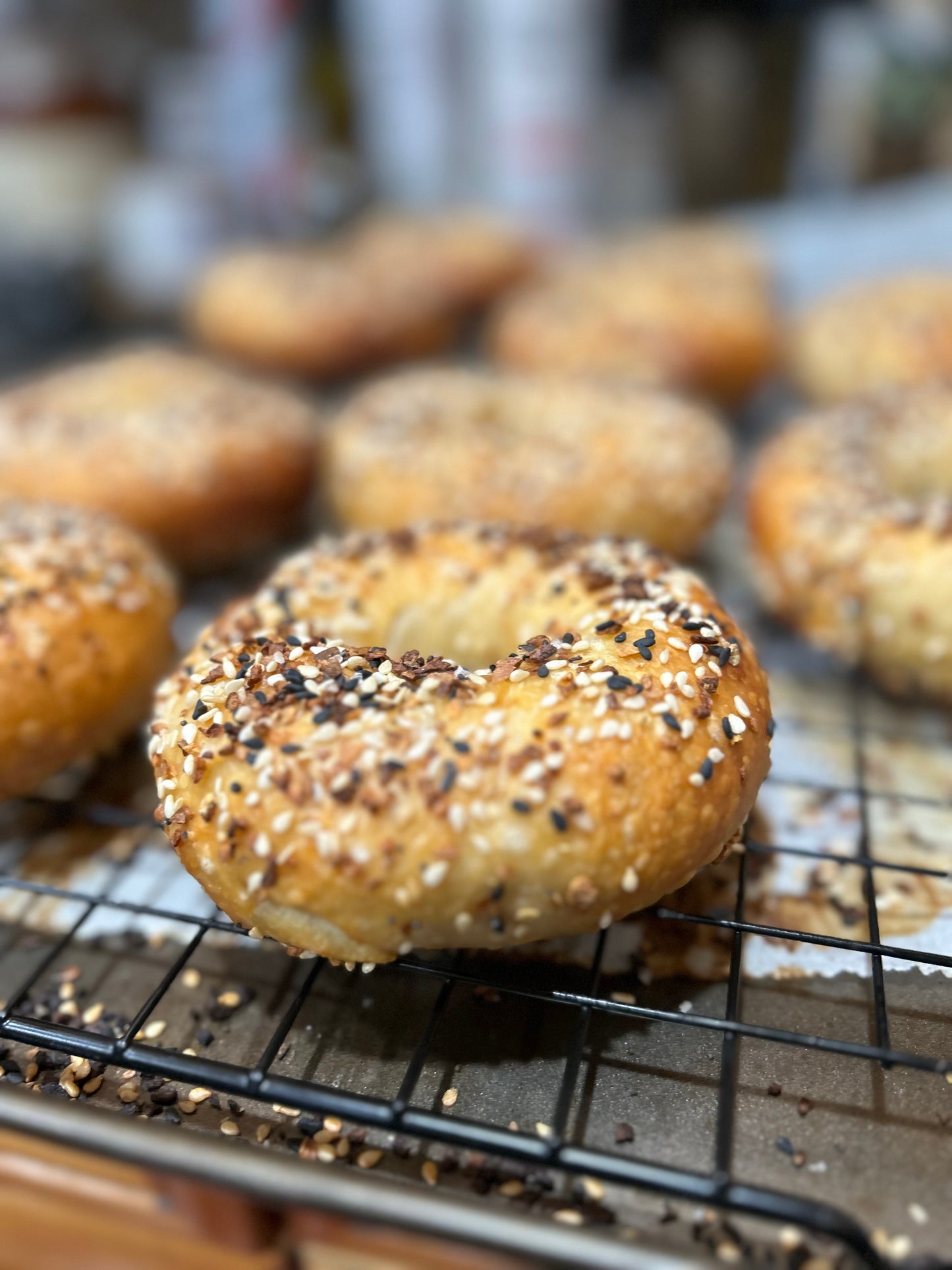 Sourdough Bagels 1/2 Dozen
