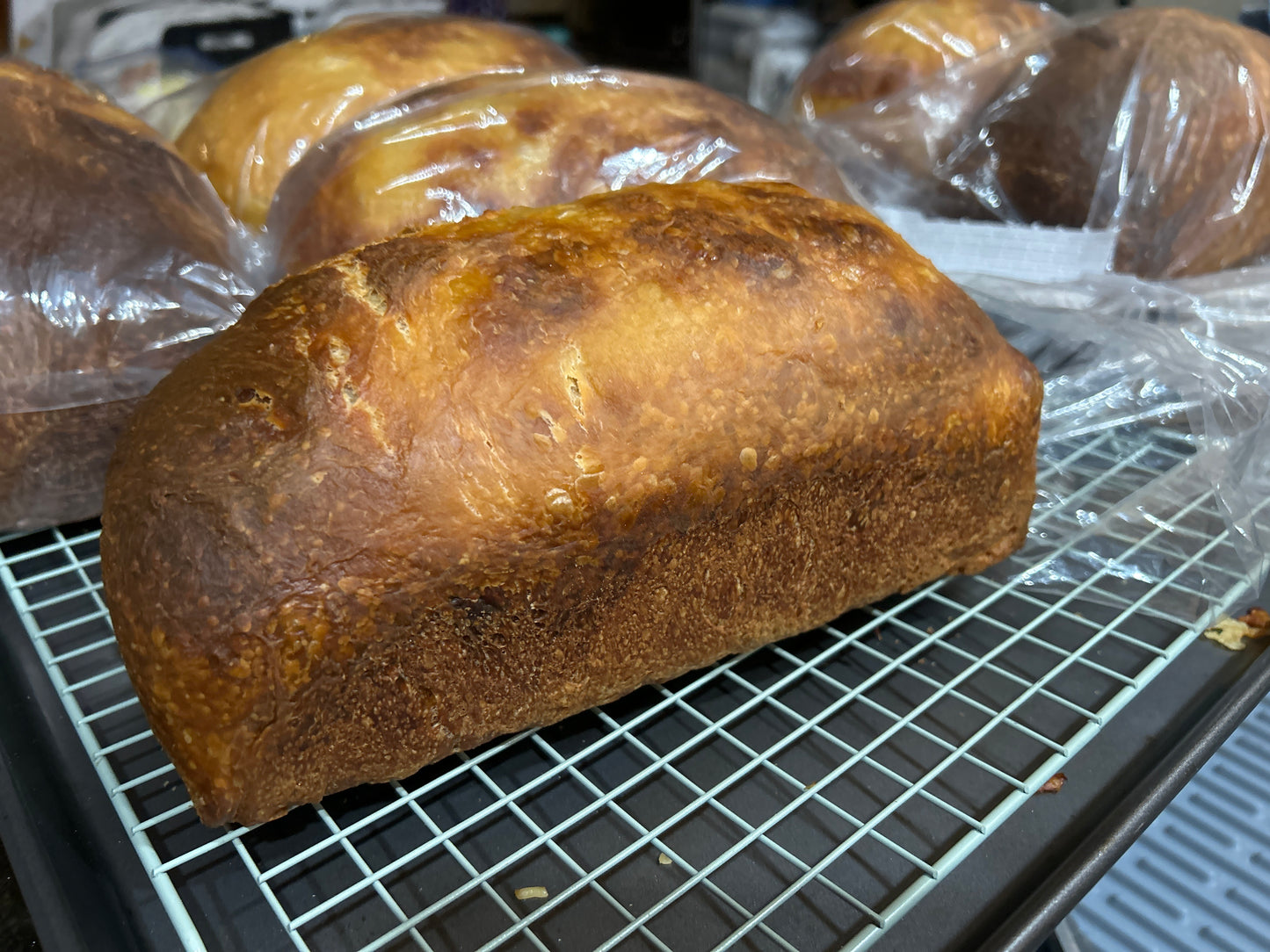 Sourdough Breakfast Loaves