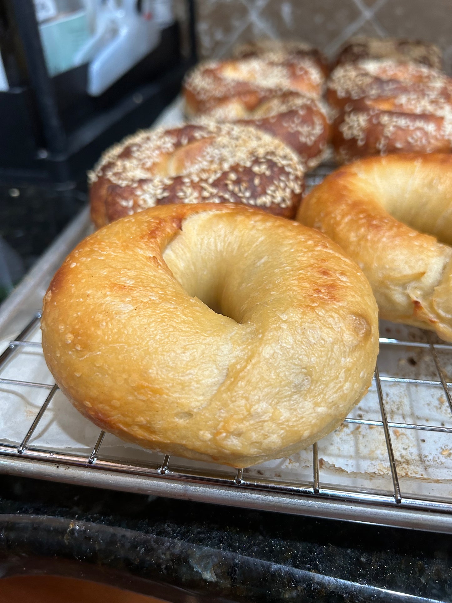 Sourdough Bagels 1/2 Dozen