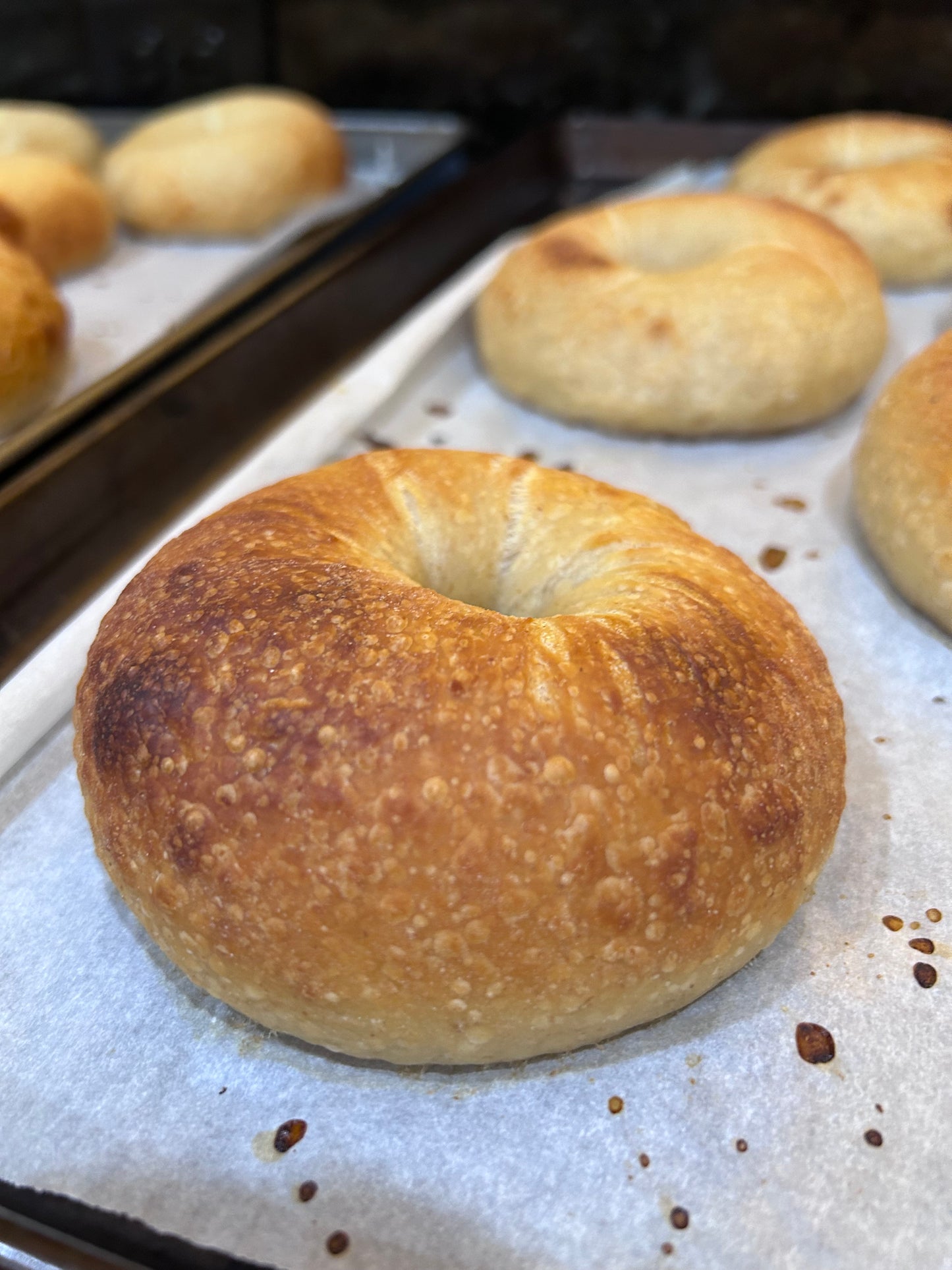 Plain Sourdough