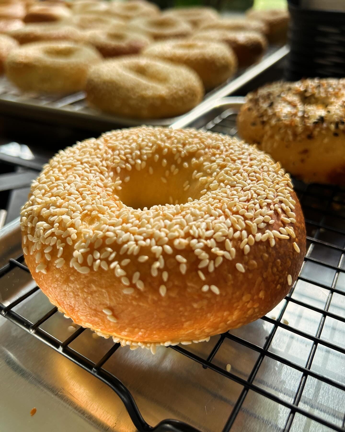 Sesame Seed Bagel