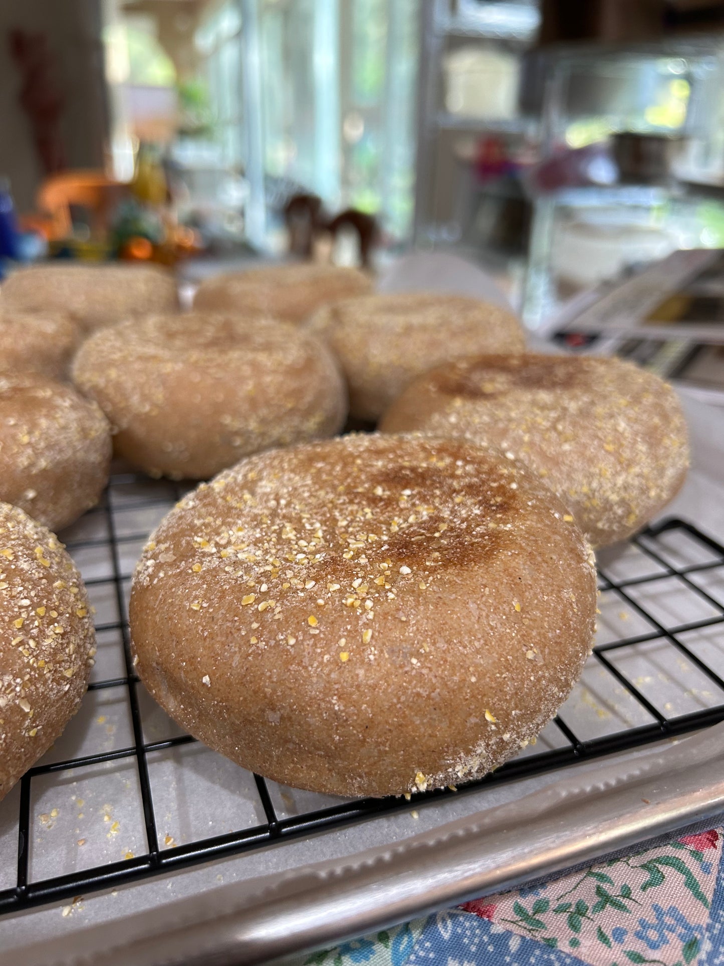 3-Pack “Uncle Bucky” Sourdough English Muffins