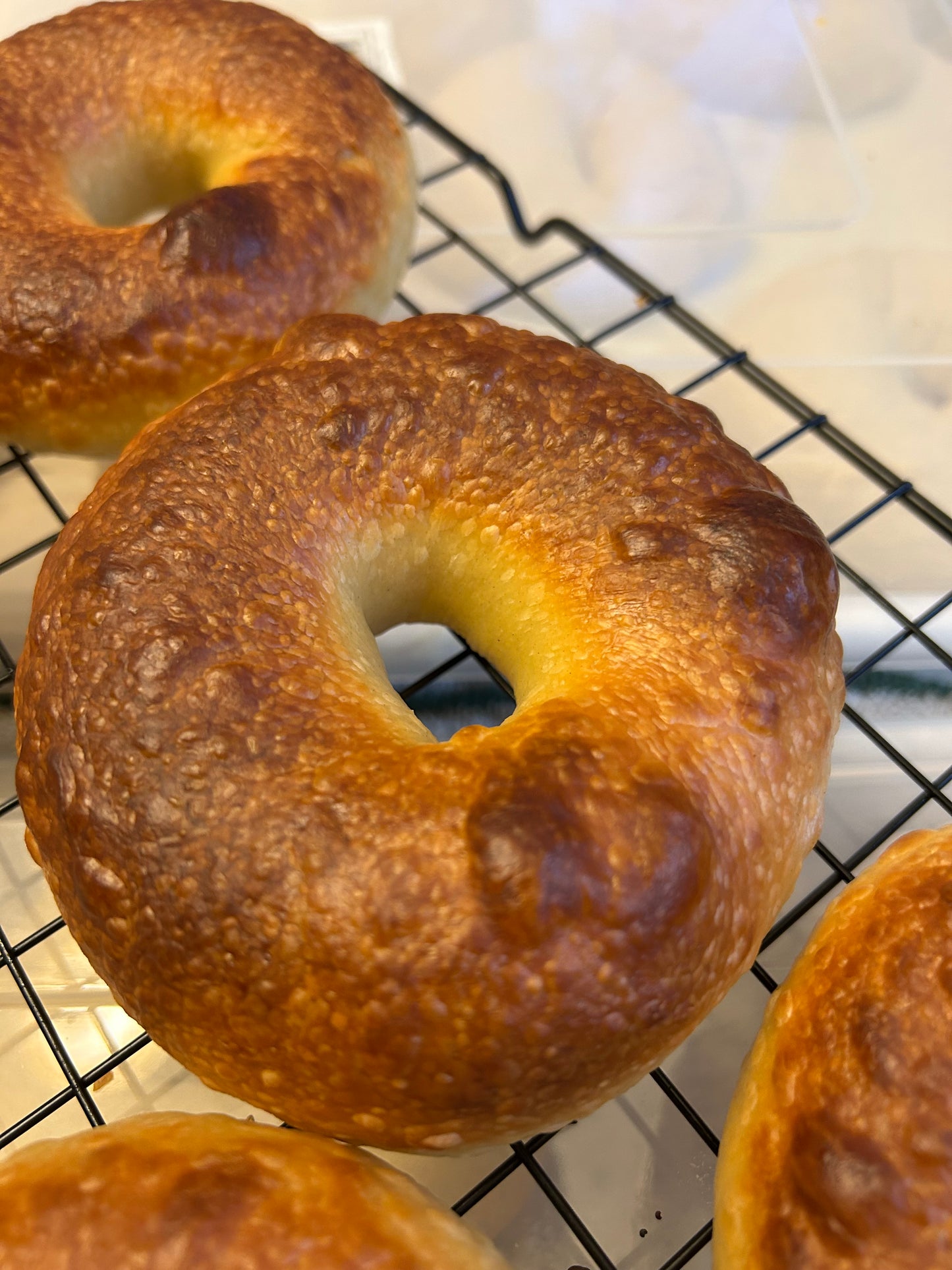 Plain Sourdough