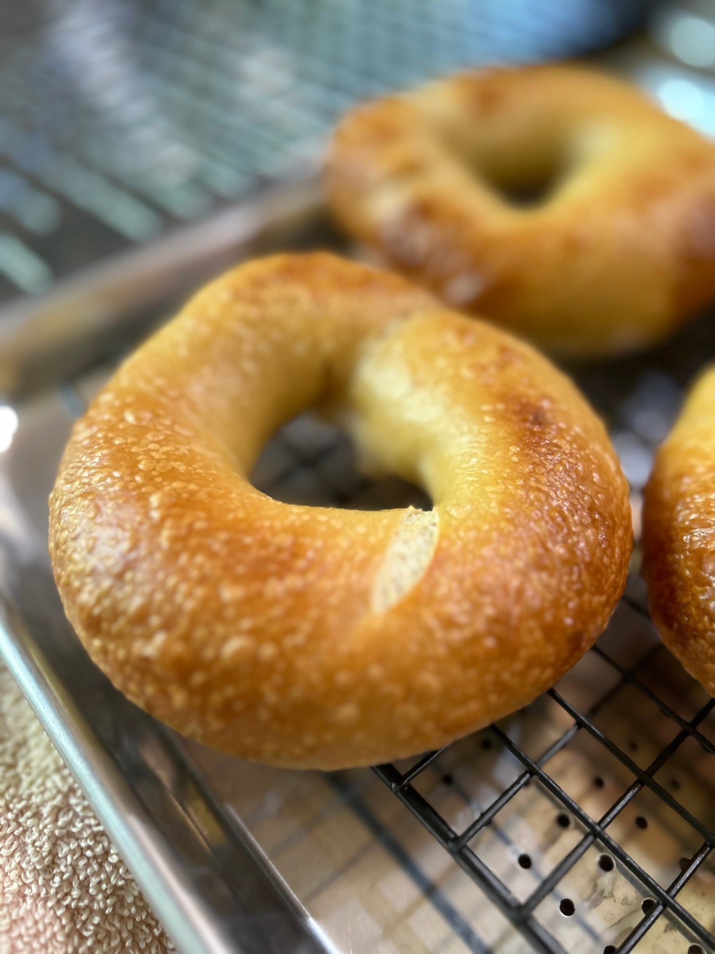 Plain Bagel