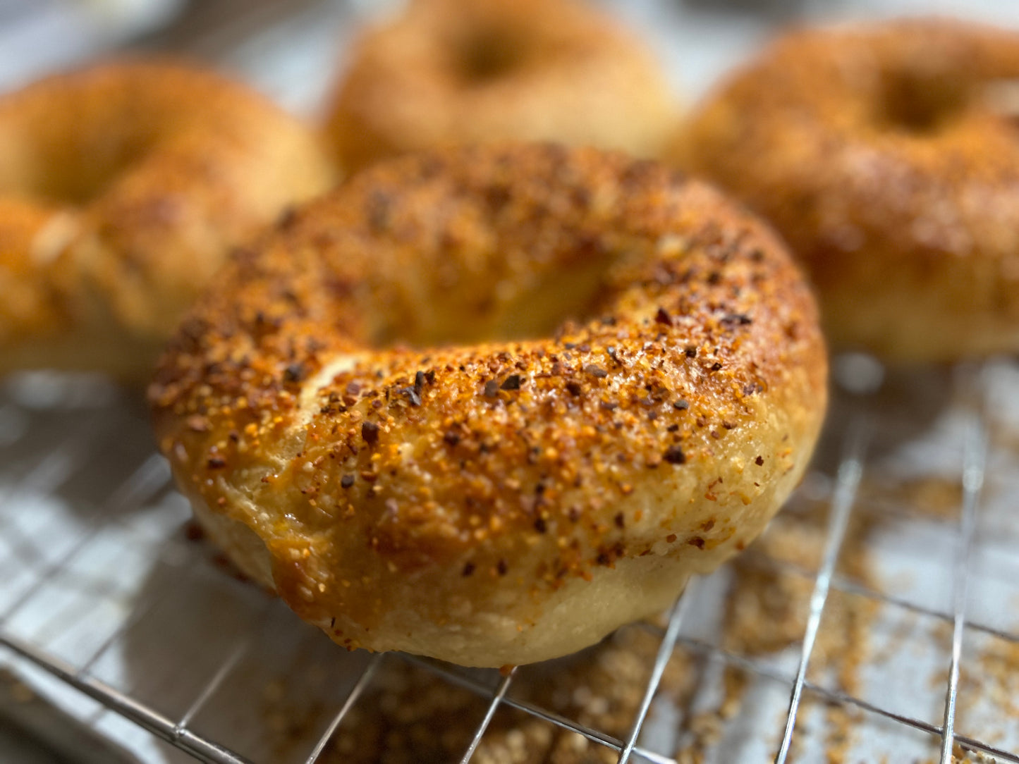 Chili Onion Sourdough Bagel