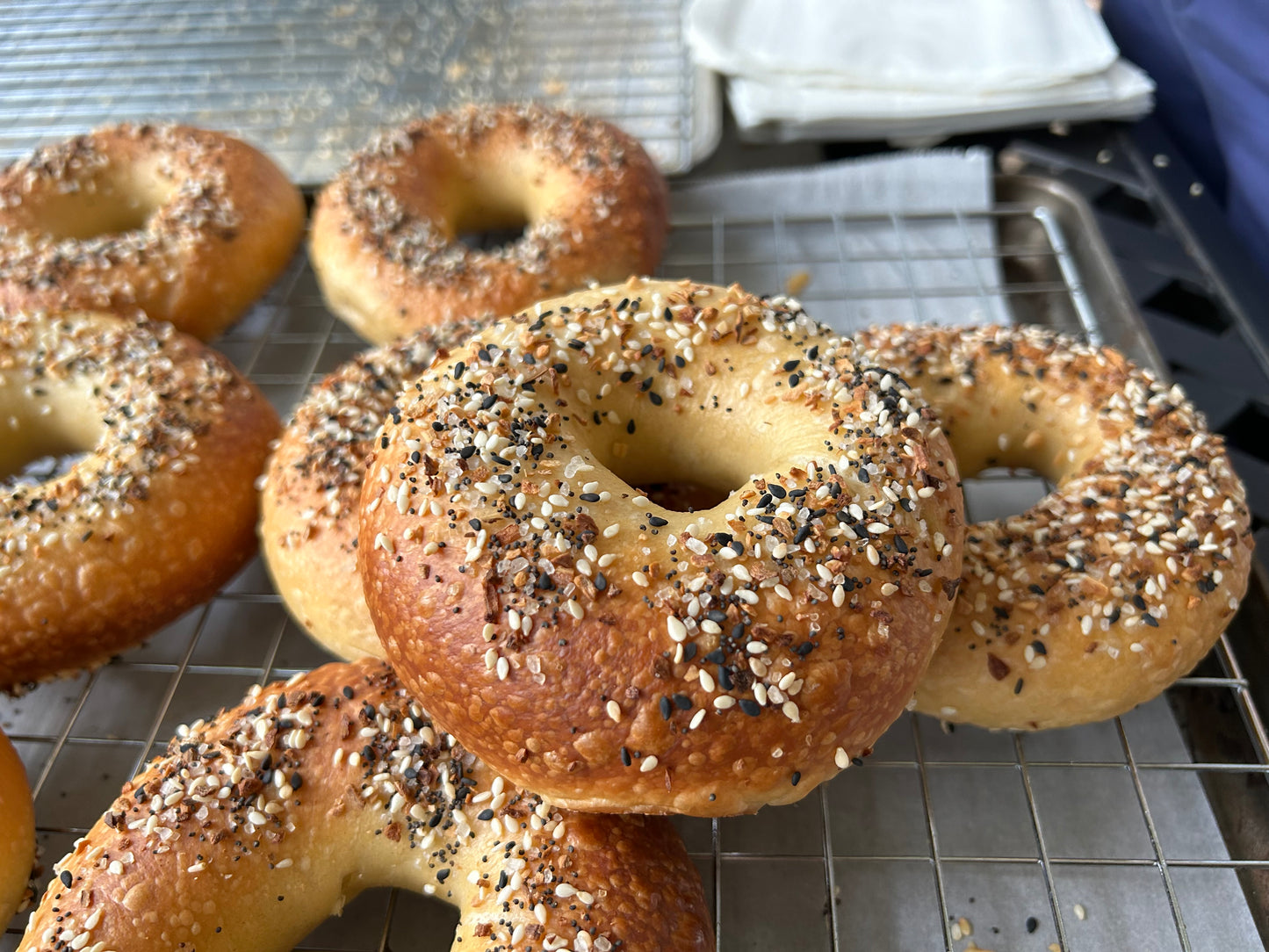 Everything Bagel