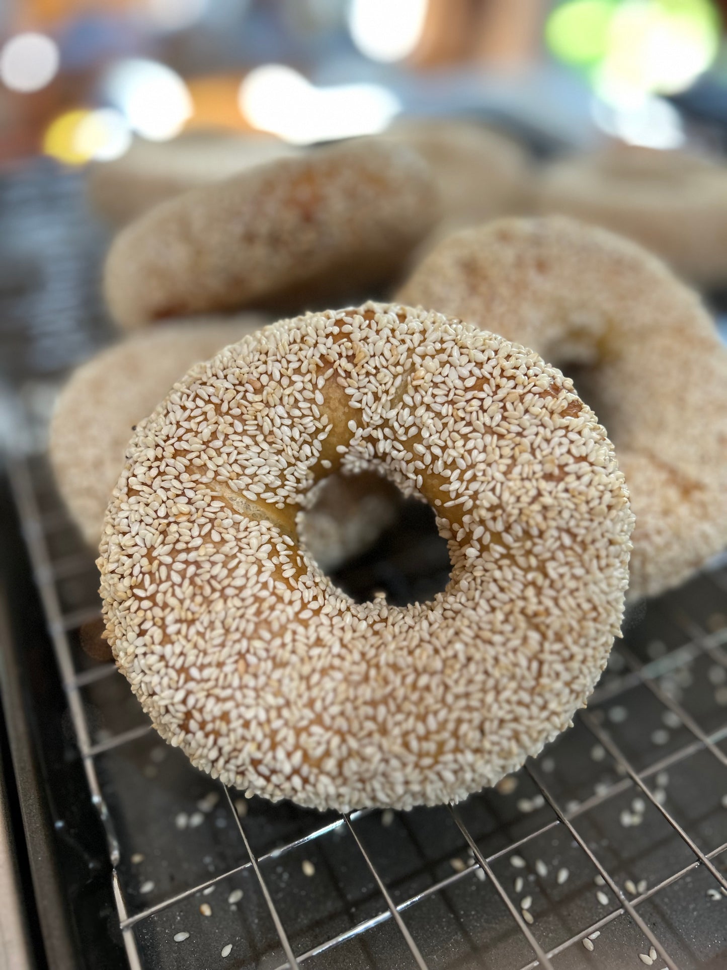 Sesame Seed Bagel