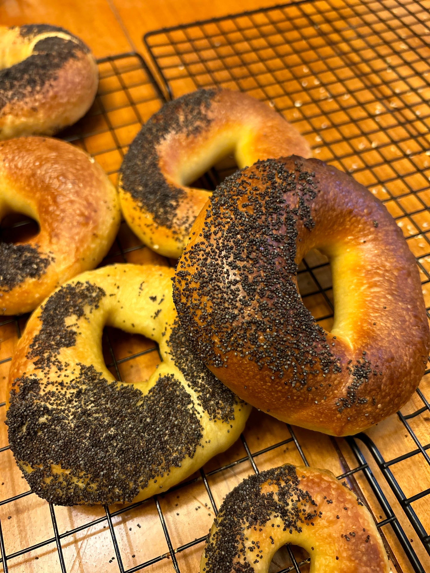 Poppy Seed