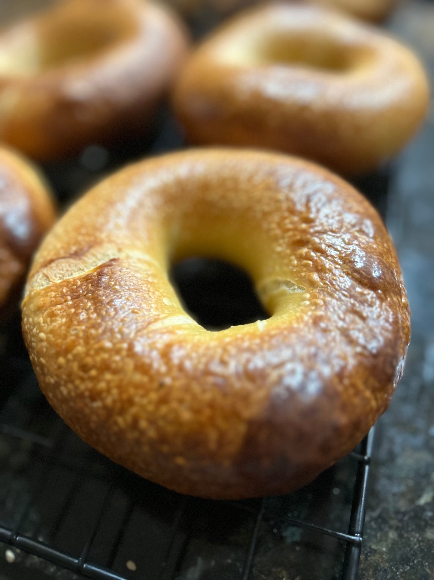 Plain Bagel