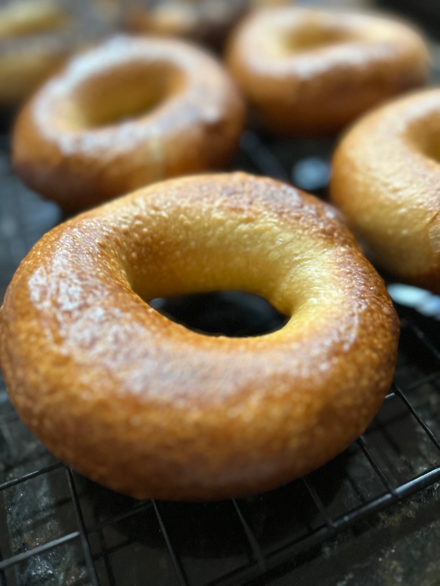 Plain Bagel