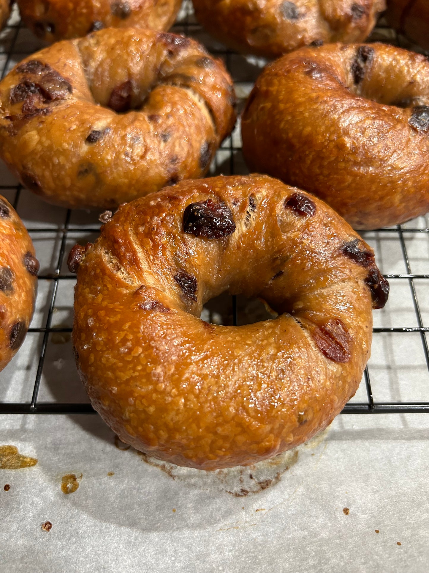 Blueberry-Lemon Bagel
