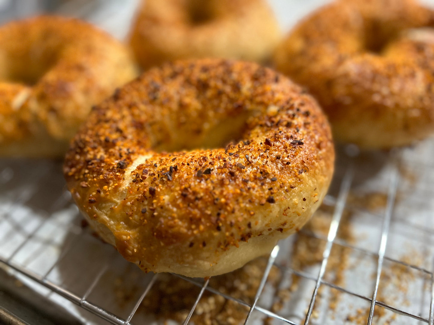 Chili Onion Sourdough Bagel
