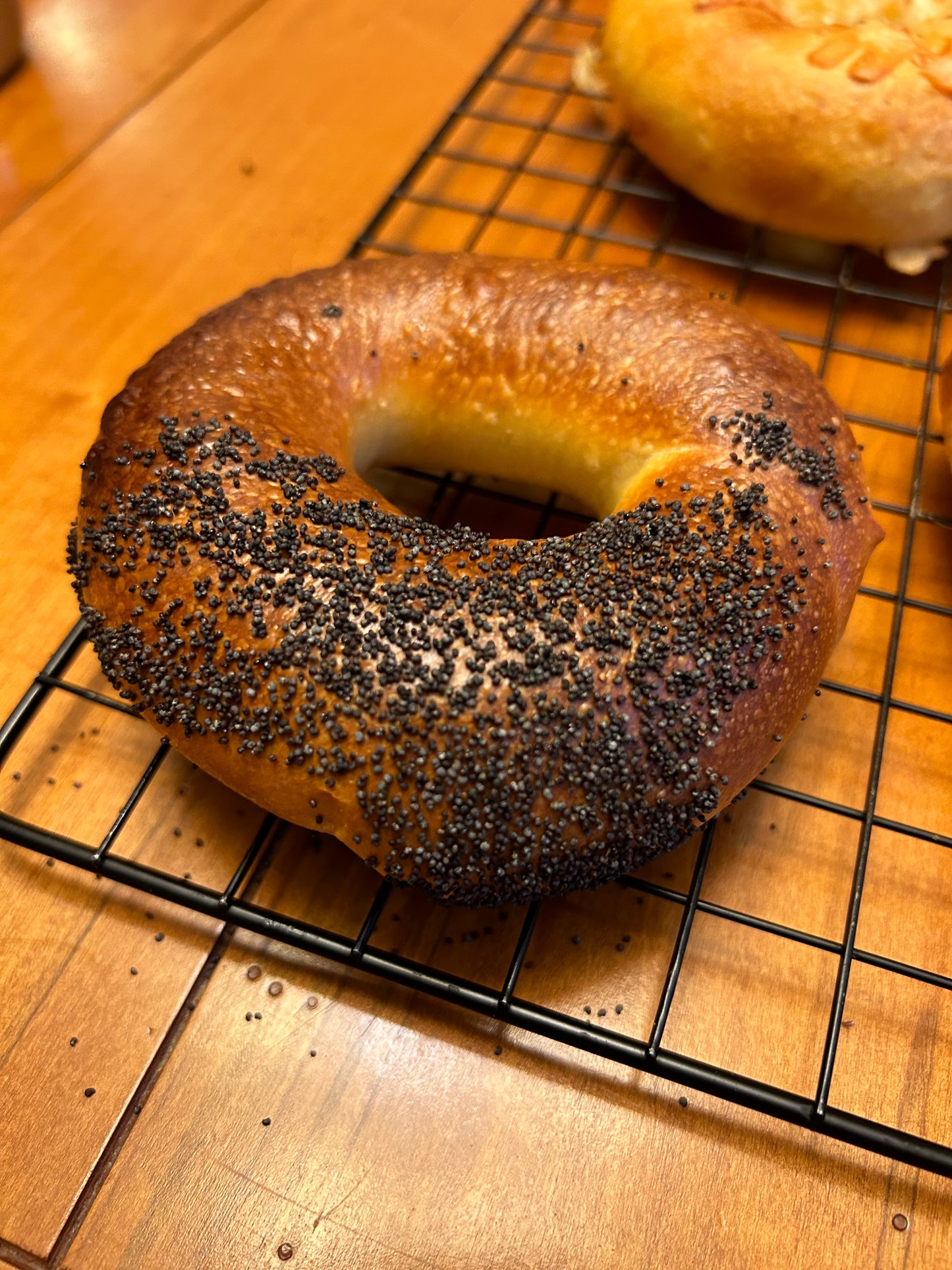 Poppy Seed