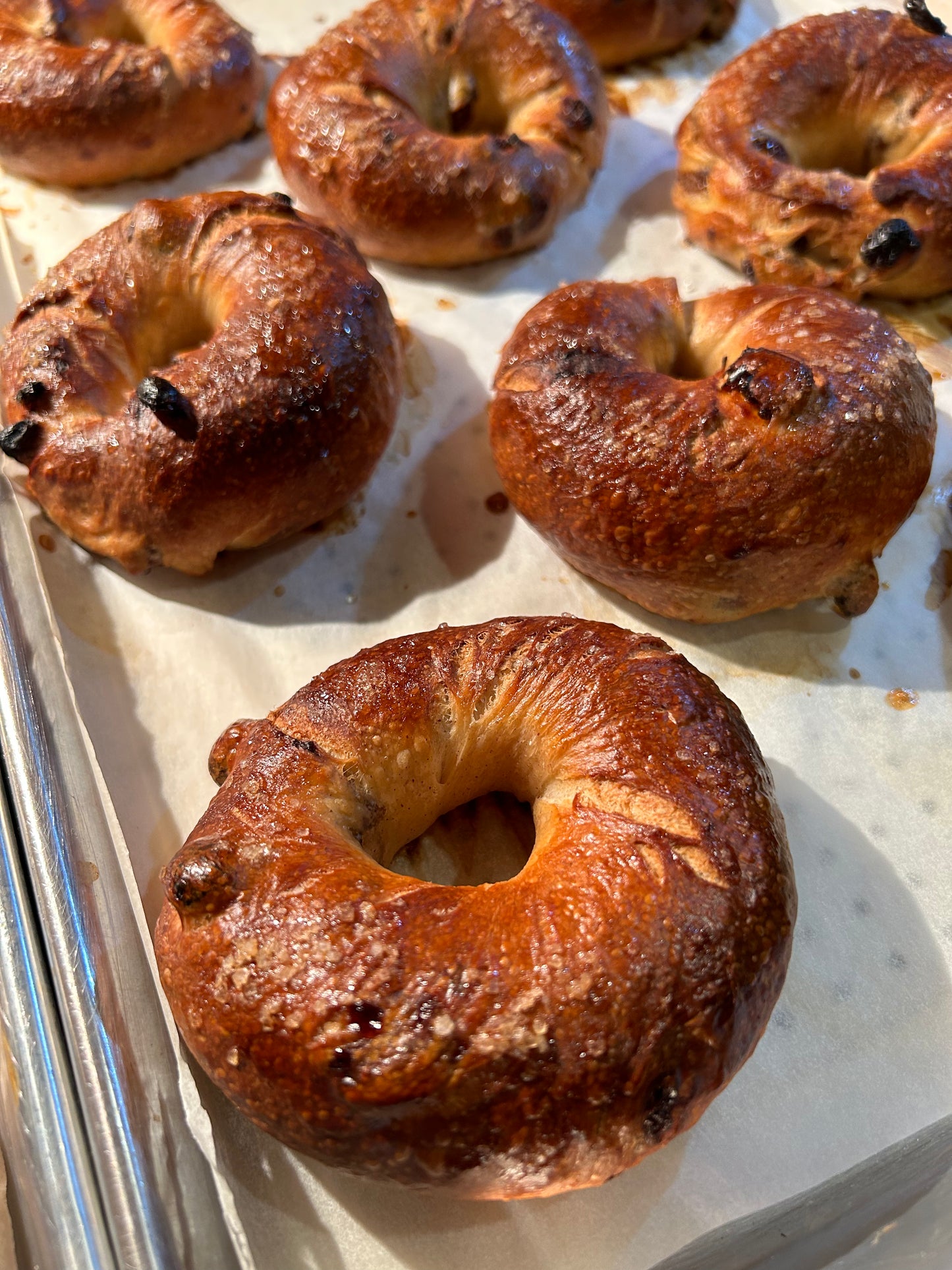Cinnamon Raisin Bagel