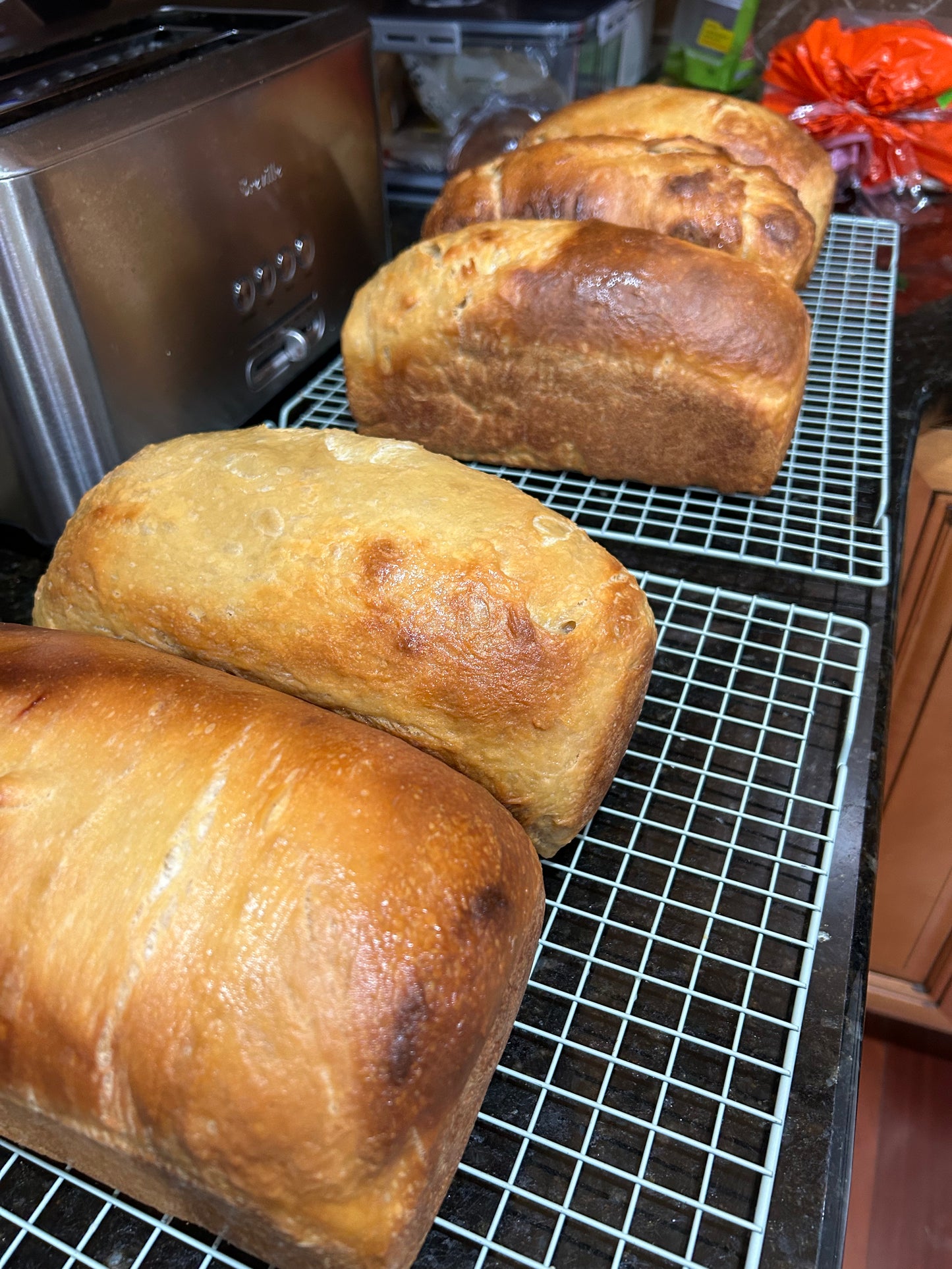 Sourdough Breakfast Loaves