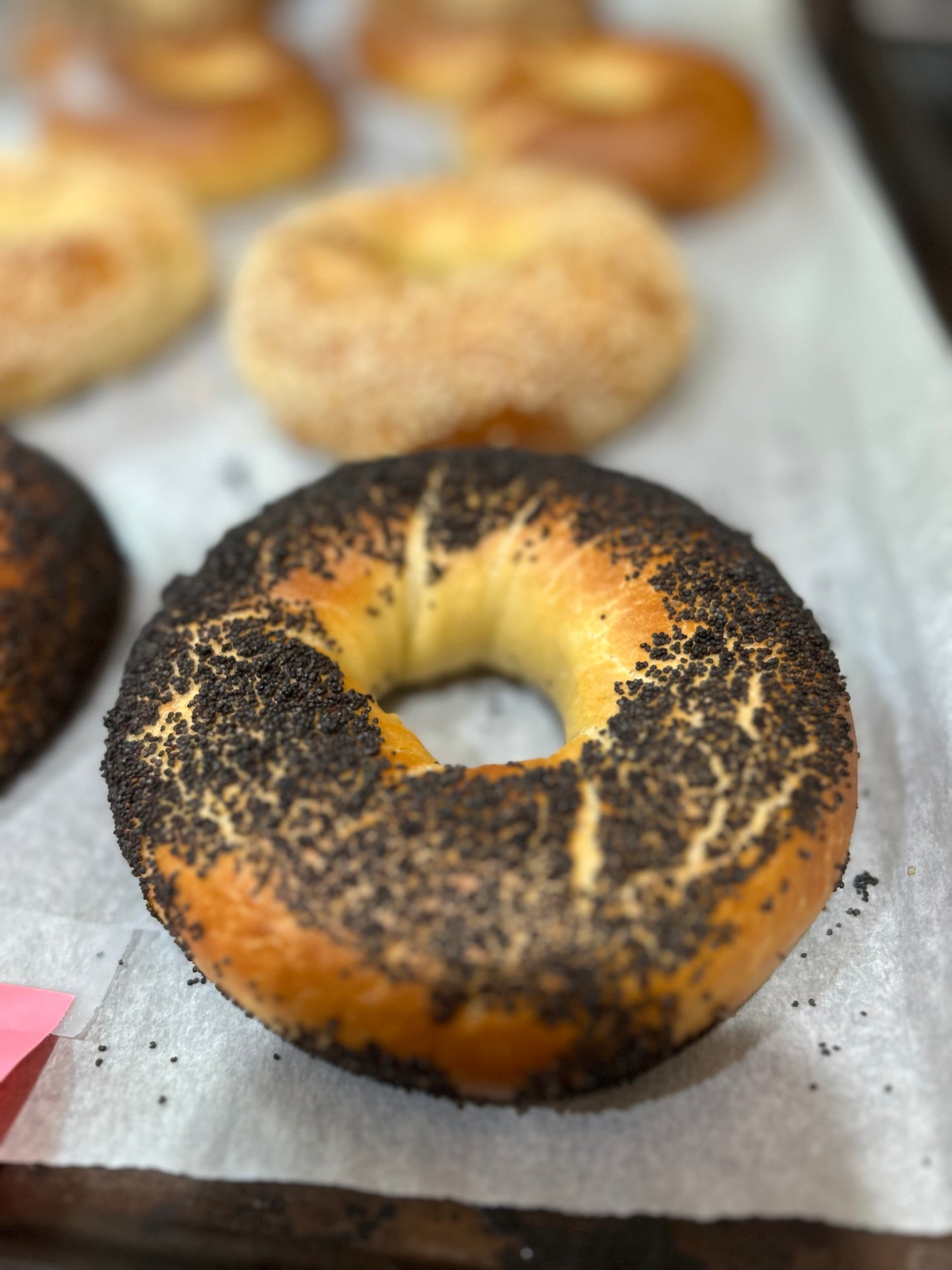 1 Dozen Montreal Original Bagel