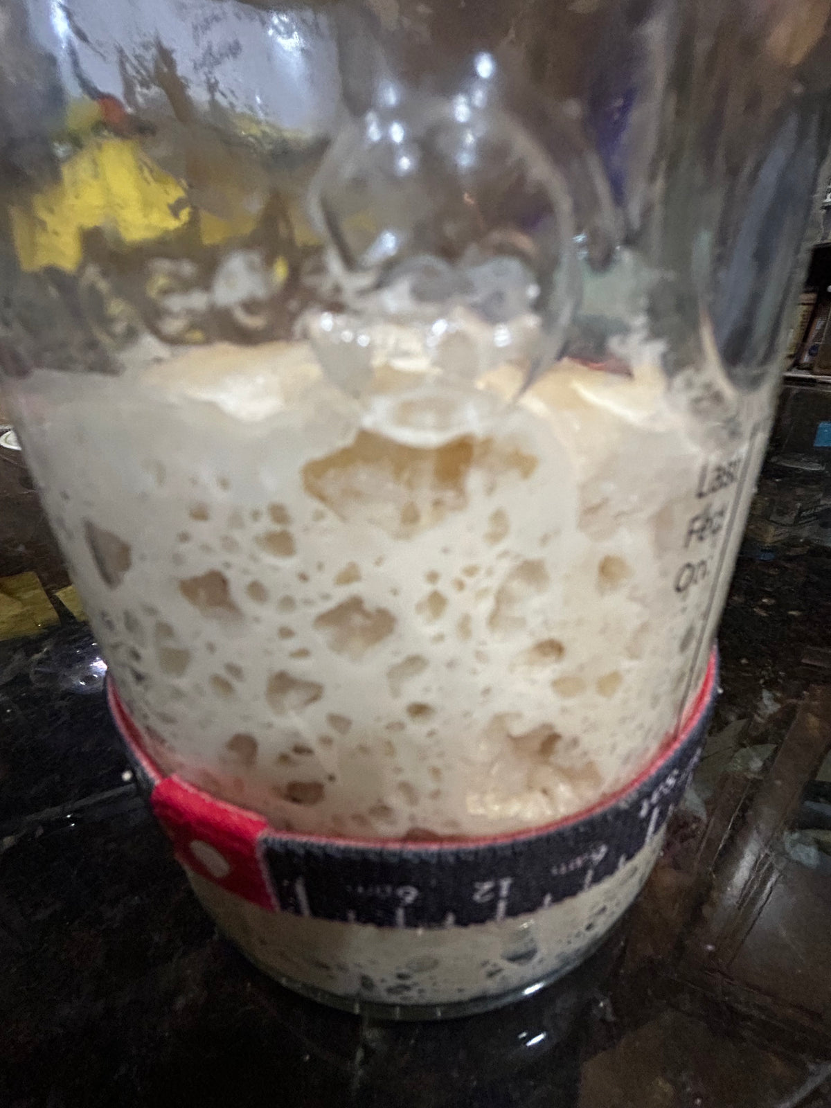 Sourdough Starter