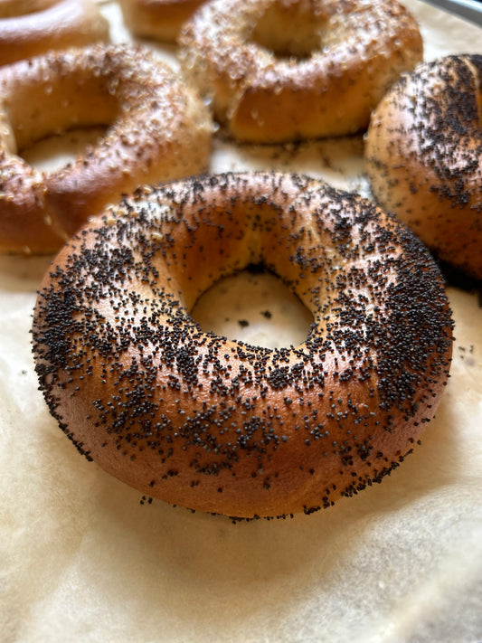 Poppy Seed Bagel - Mont Royal Bagels