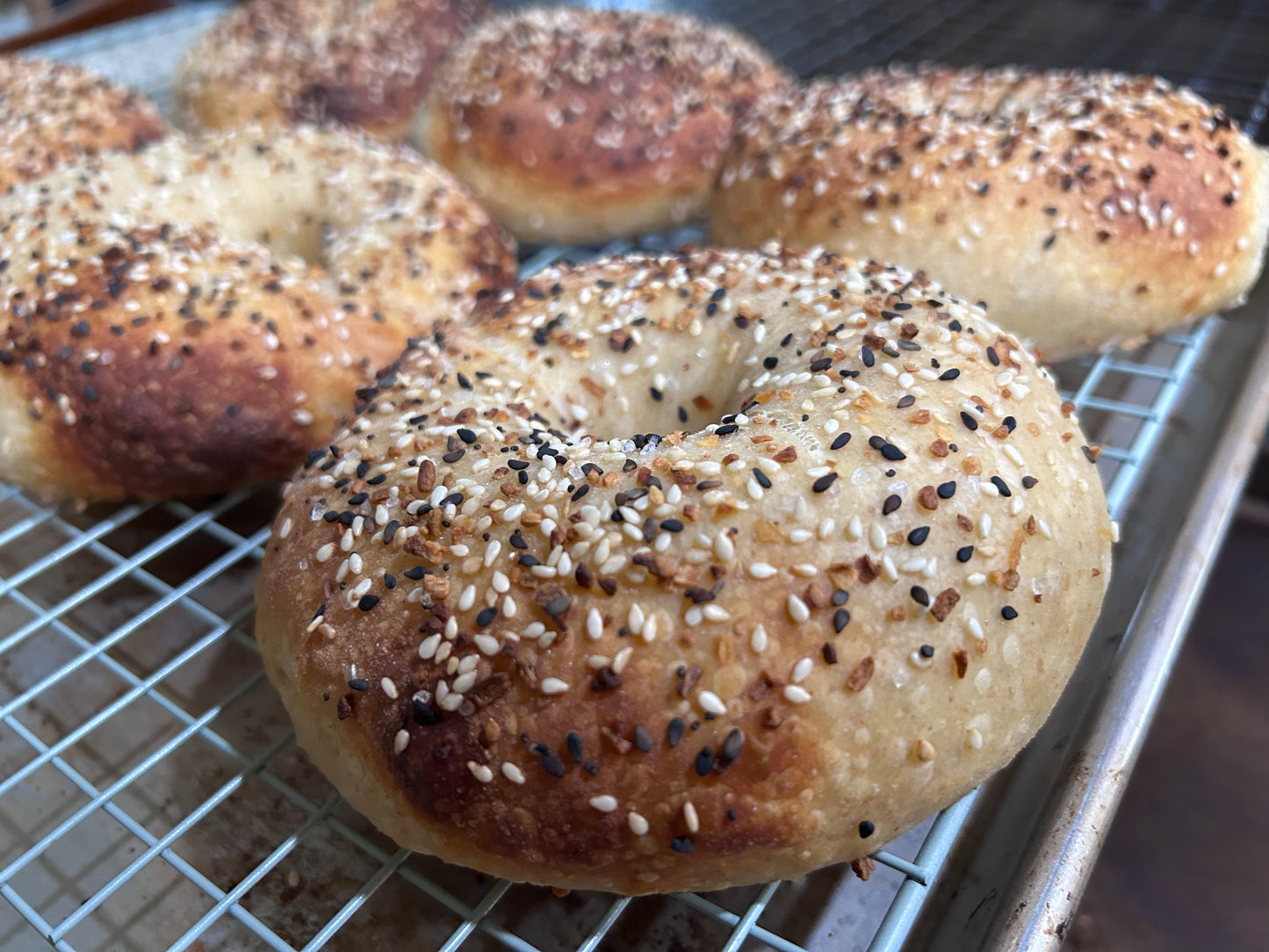 Everything “All Dressed” Bagel