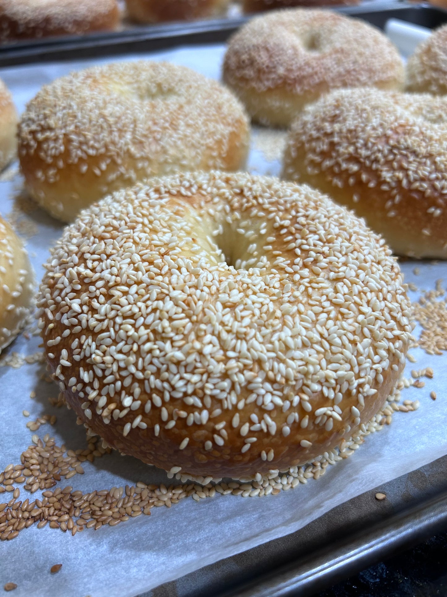 Sesame Seed Bagels