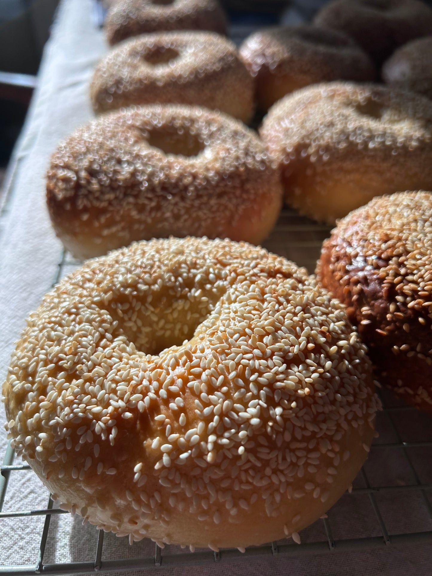 Sesame Seed Bagels
