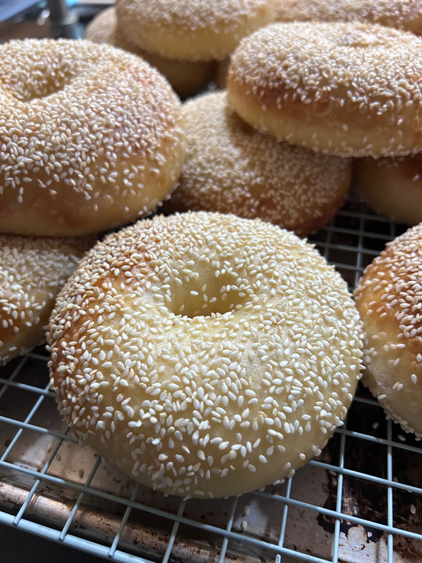 Sesame Seed Bagels