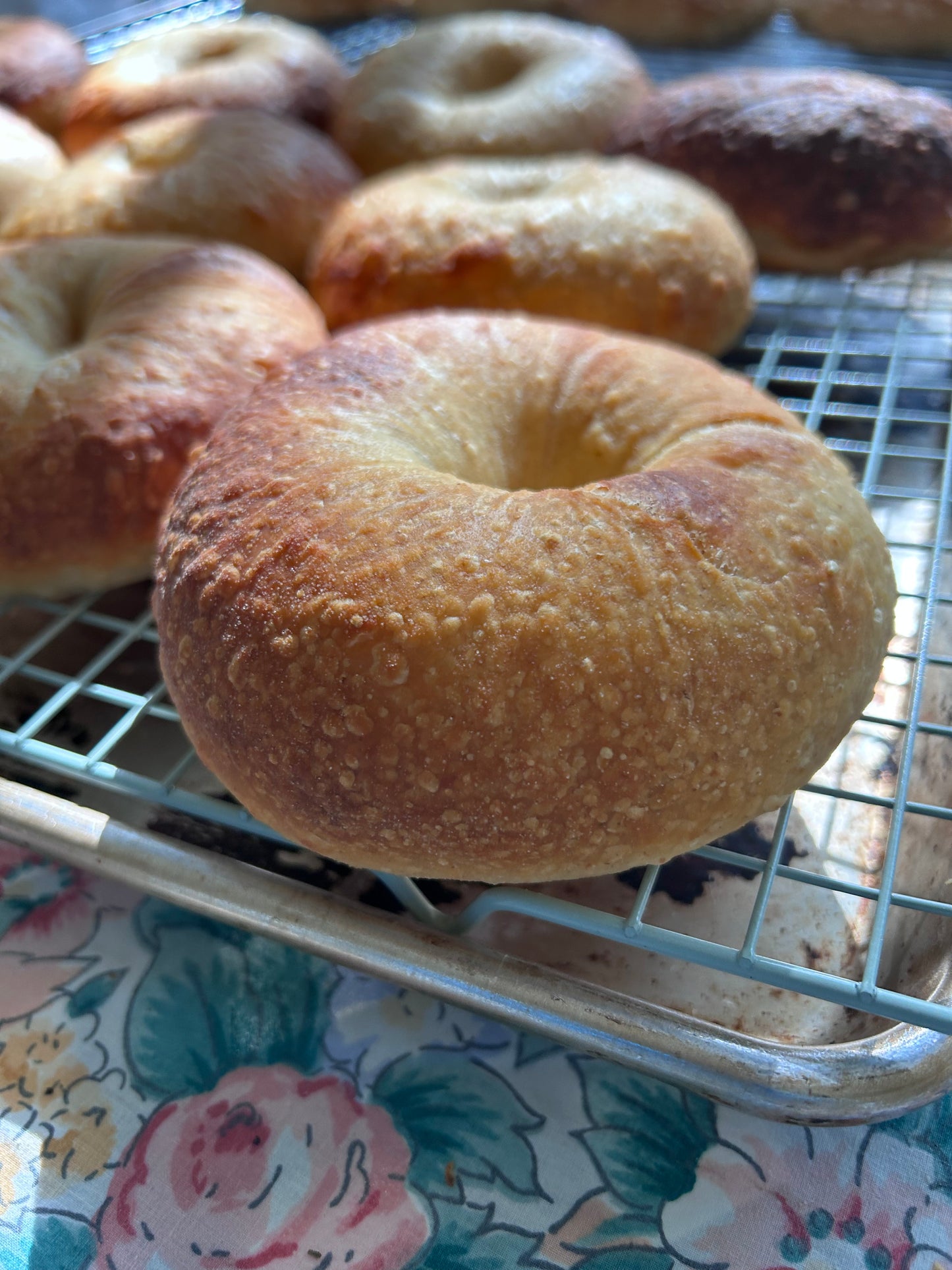 Plain Sourdough