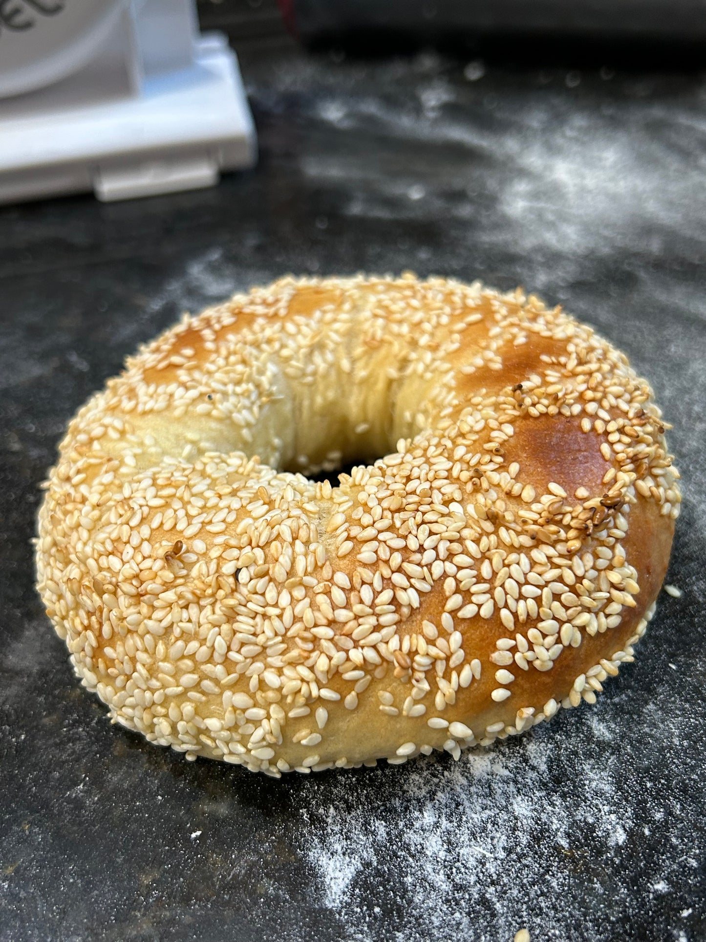 Canadian Style Bagel - 1 (Montreal)