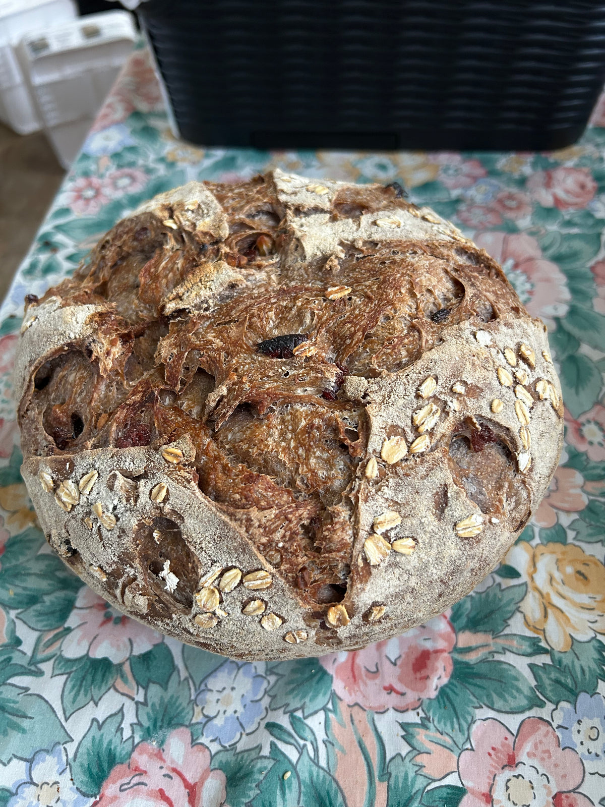 Sourdough Specialty Loafs