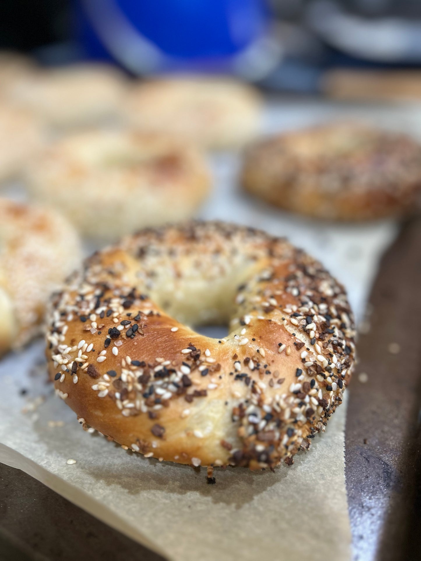 Canadian Style Bagel - 1 (Montreal)