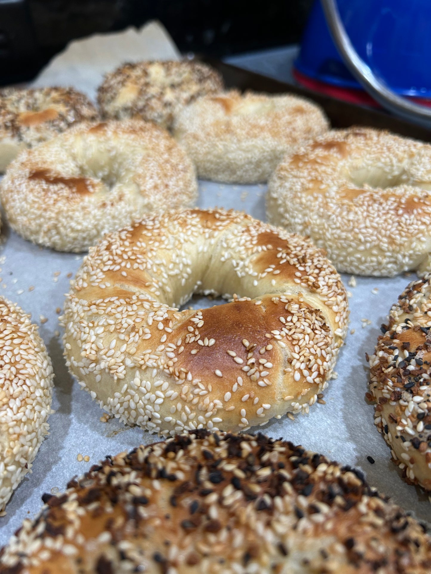 Canadian Style Bagel - 1 (Montreal)