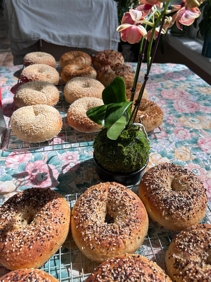 1/2 Dozen Sourdough Bagels