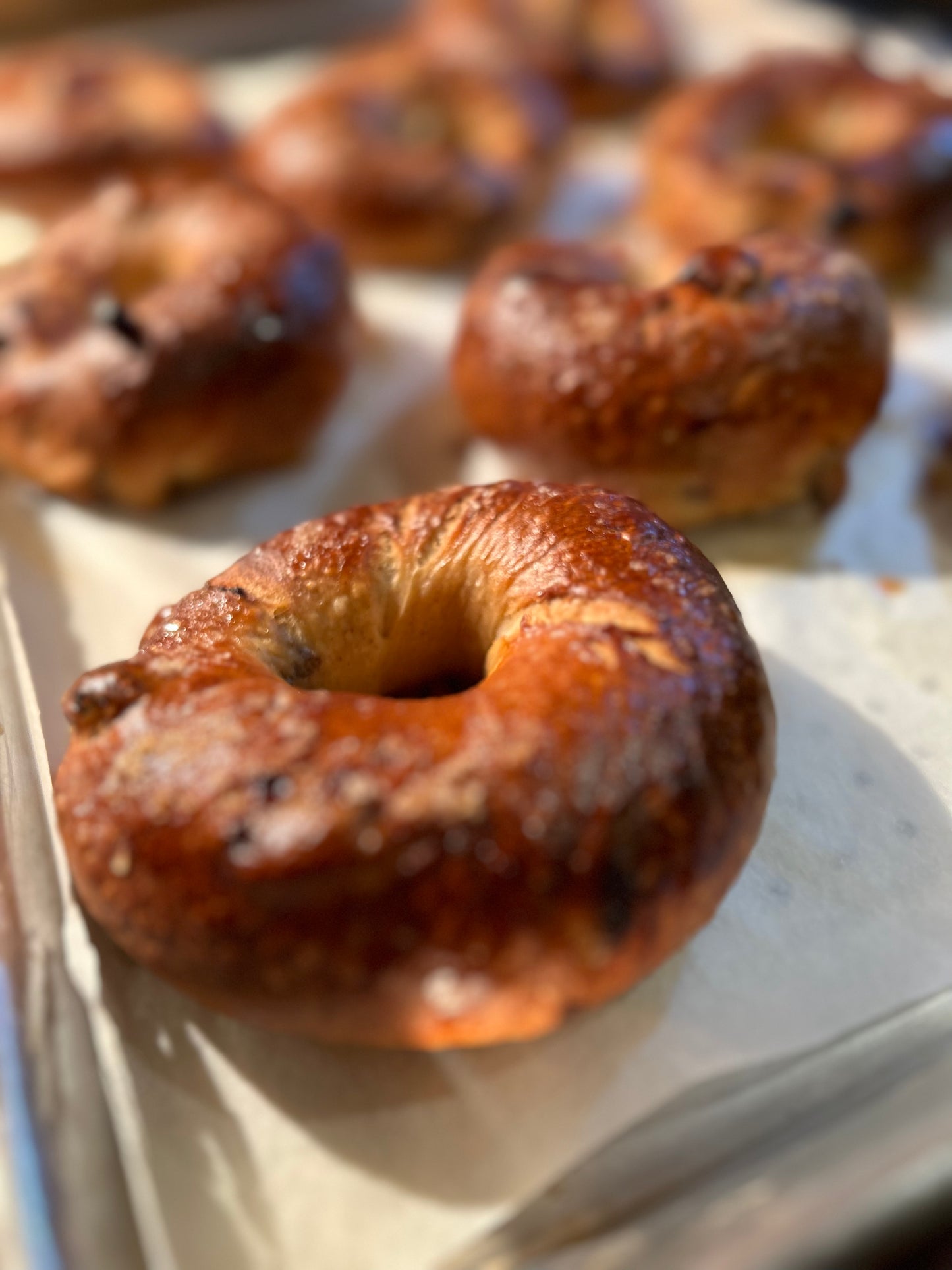Cinnamon Raisin Bagel