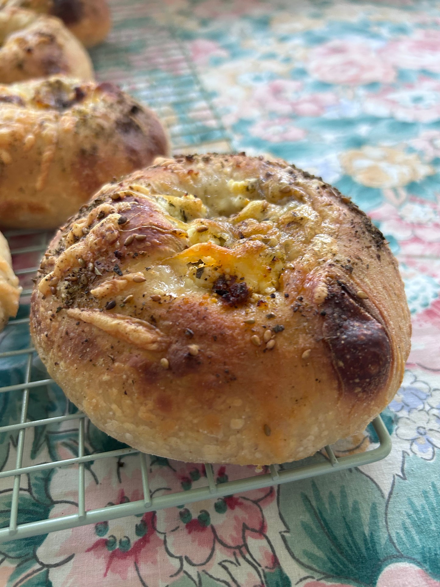 Bagel Bialys