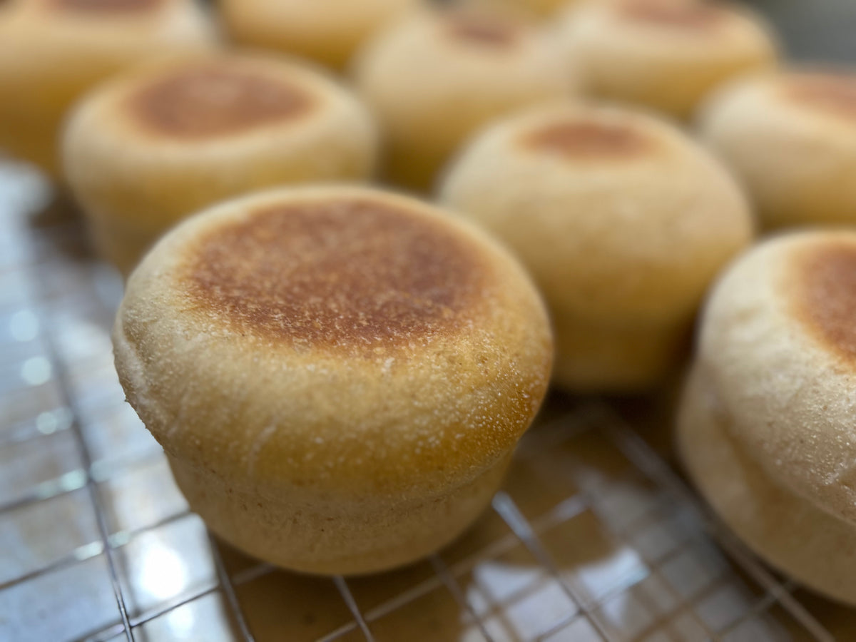 Sourdough Starter