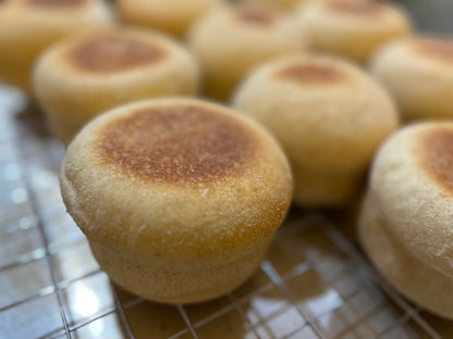 Sourdough Starter