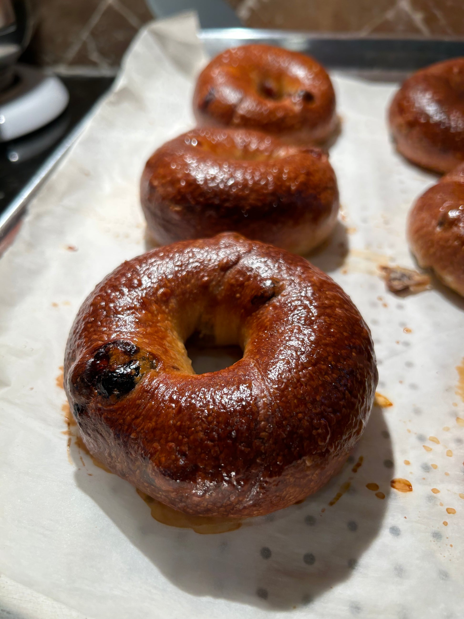 Blueberry-Lemon Bagel - Mont Royal Bagels