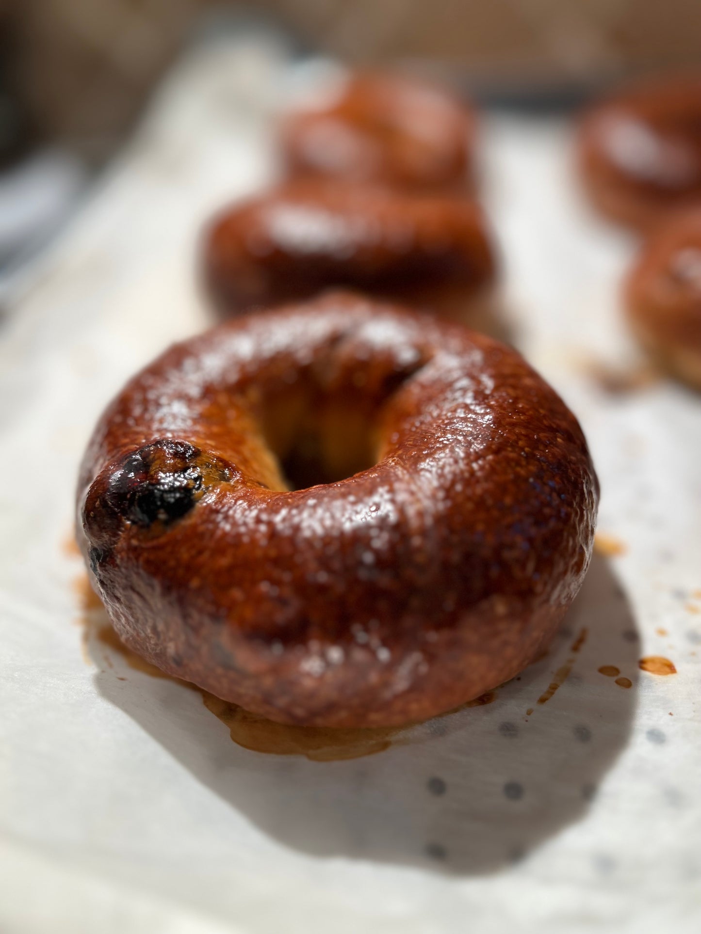 Blueberry-Lemon Bagel - Mont Royal Bagels