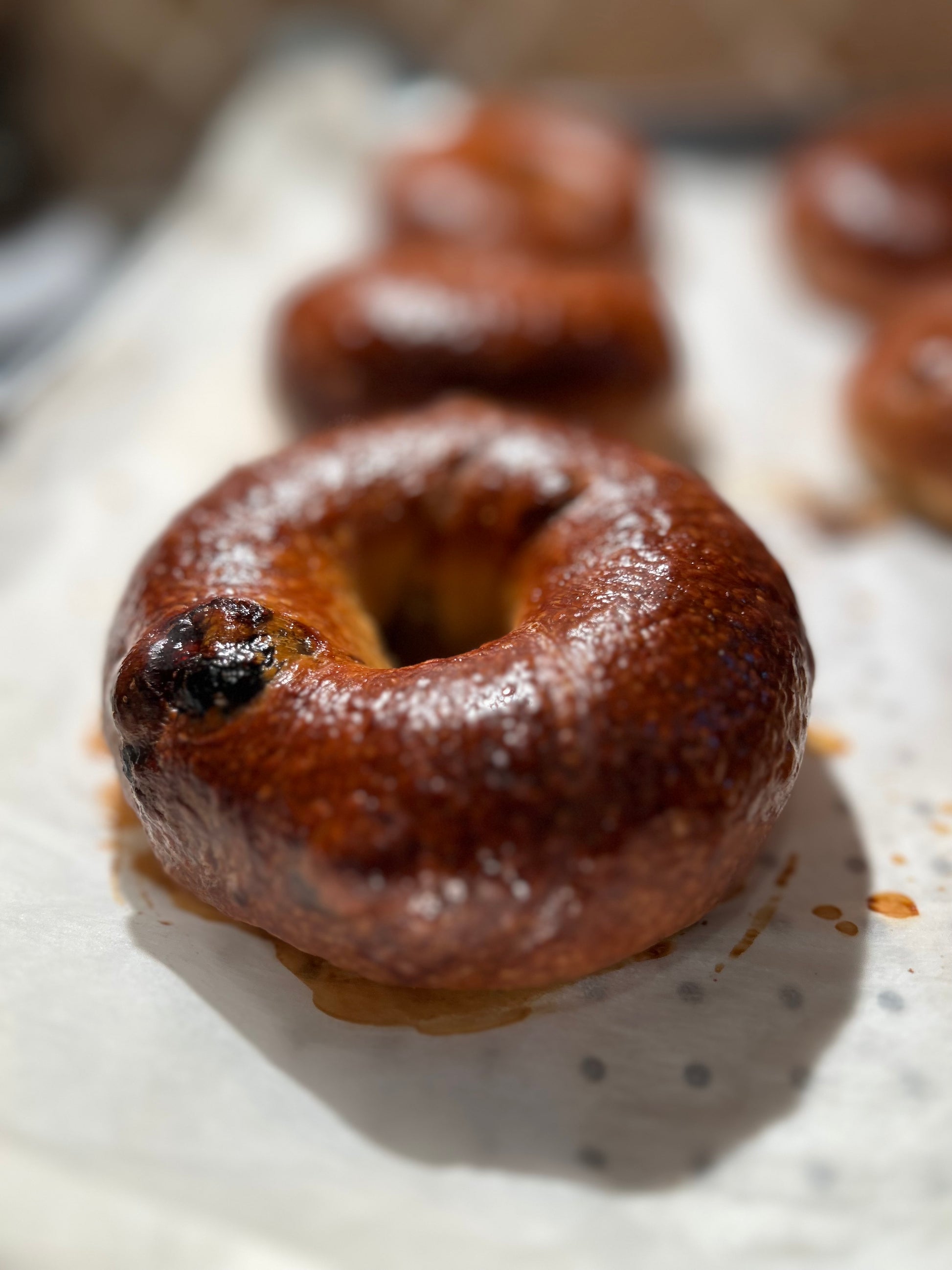 Blueberry-Lemon Bagel - Mont Royal Bagels