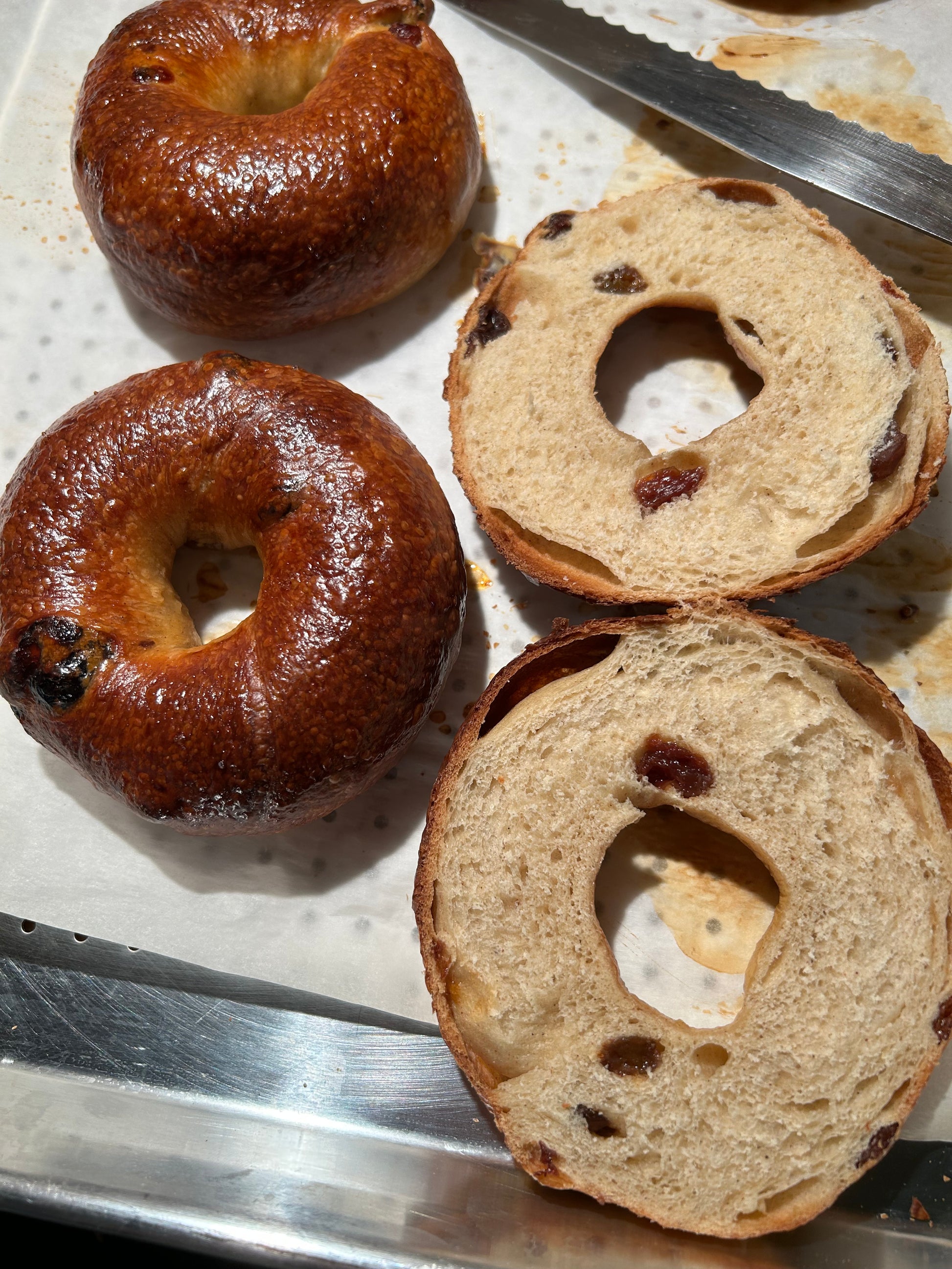 Blueberry-Lemon Bagel - Mont Royal Bagels