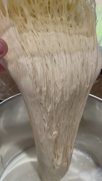 Sourdough Starter